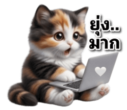 โกโก้_แมวจอมป่วน รูปที่ 20