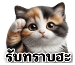 โกโก้_แมวจอมป่วน รูปที่ 23