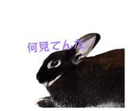 837828734