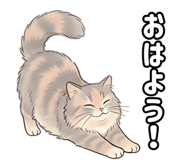 837830281