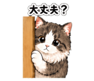 837830315