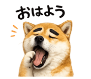 837830458