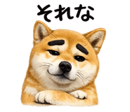 837830460