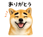 837830461