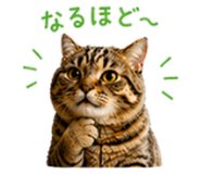 837831265