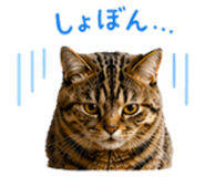 837831268