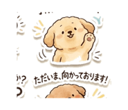 837831454