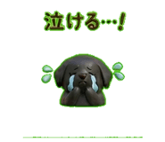 837831847