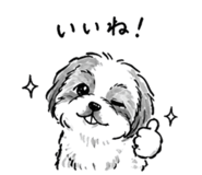 837833123