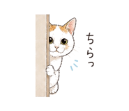 837833935