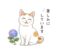 837833936