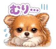 837834107