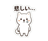 837834843