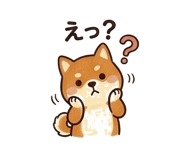 837834857