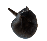 837835493