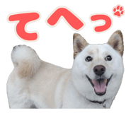 837835840