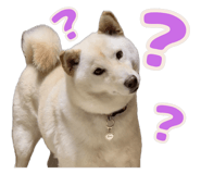 837835841