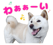 837835846