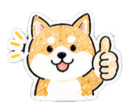 837836163