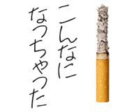 837836941
