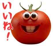 837838281