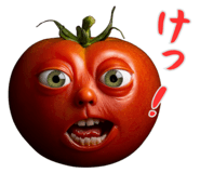 837838312