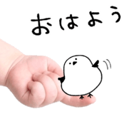 837840218