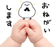 837840223