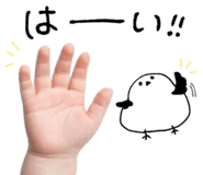 837840228