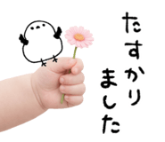 837840229