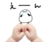 837840236