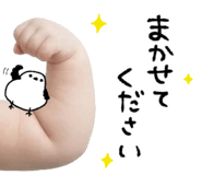 837840239