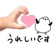 837840243