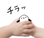 837840249