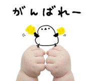 837840252