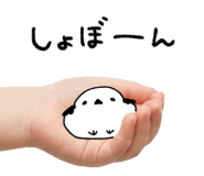 837840253