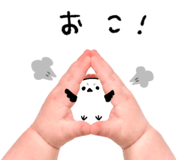 837840255