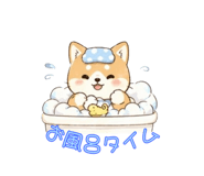 837841080