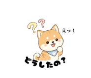 837841082