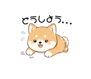837841088