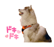 837843409