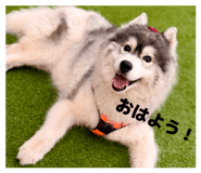 837843412