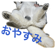 837843413