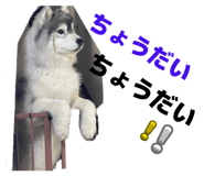 837843416