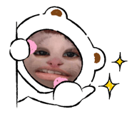 837843638