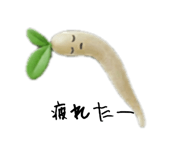837844160