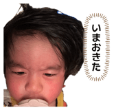837846277