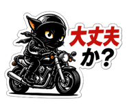 837846455