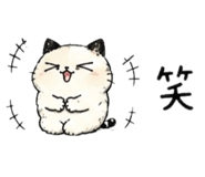 837848653