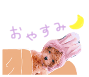 837850337